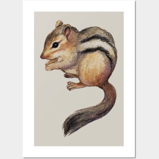 Watercolor Cute Chipmunk Illustration Posters and Art